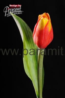 Tulipan kvet 40 cm 107 R červeno  žltá