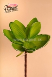 Kvet dekor.zelena18cm 3-81G