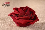 Kvet dekor.cerv7cm 3-80R