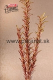 Kvet dekor.zel.cer.3-108GR
