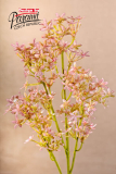Kvet drob.ruz.68cm F223-P