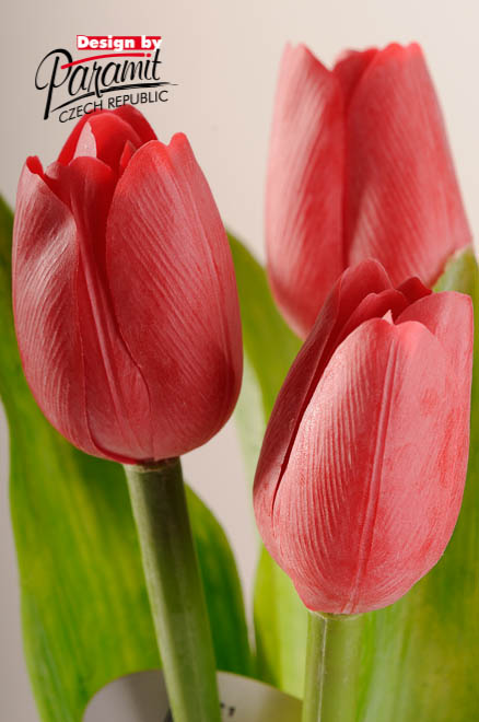 Tulipan kvet 40 cm 107 R1 cervena