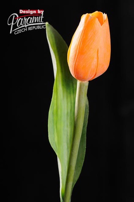 Tulipan kvet 40 cm 107 O1 svetlo oranžová
