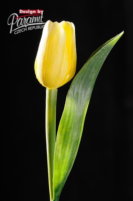 Tulipan kvet 40 cm 107 Y1 svetlo žltá