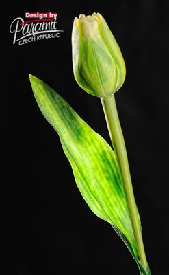 Tulipan kvet 40 cm 107 G zelená