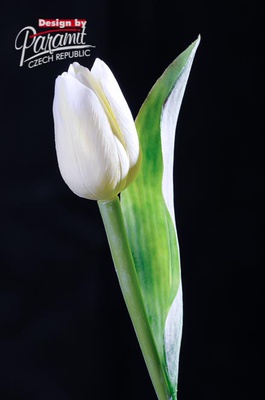 Tulipan kvet 40 cm 107 W1 svetlo biela