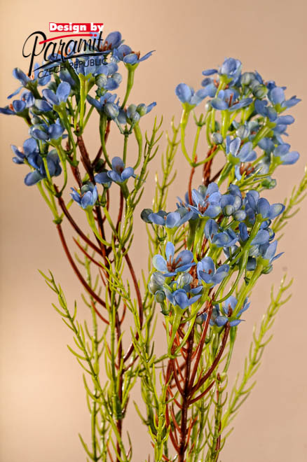 Kvet drob.modr.68cm F223-BL
