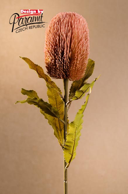 Banksia 65cm ruž. F251-P
