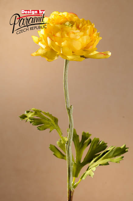 Ranunculus 51cm žltá F260-Y