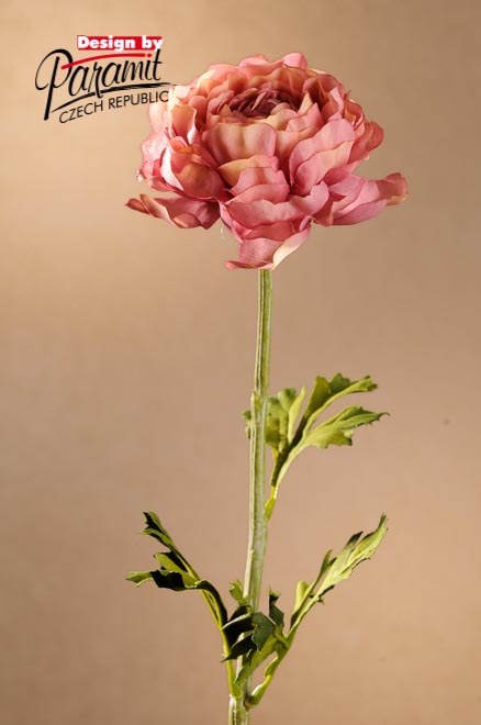 Ranunculus 51cm ruž. F260-P
