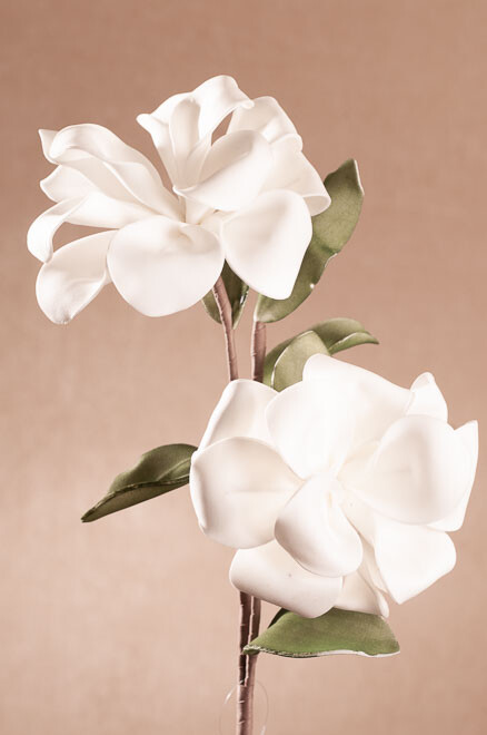Kvet biel. 73cm3-195W