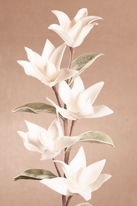 Kvet biela 77cm3-200W