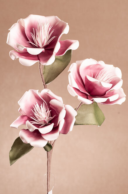 Kvet ruž 83cm3-202L