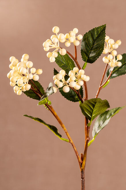 Wild Berry 53cm bielF289-W