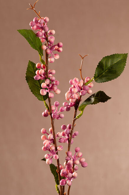Wild Berry 64cm ružová F404P