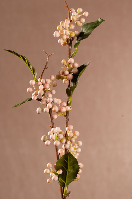 Wild Berry 64cm biela F404W