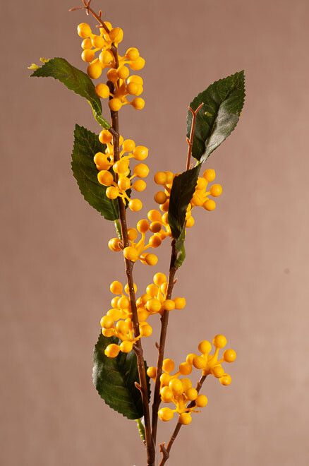 Wild Berry 64cm žltá F404Y