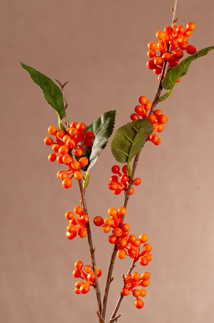 Wild Berry 64cm oranžová F404O