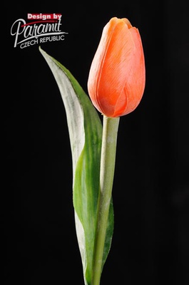 Tulipan kvet 40 cm 107 O oranžová