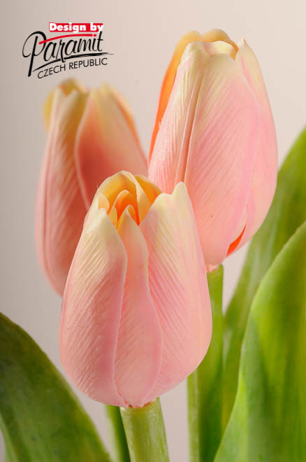 Tulipan kvet 40 cm 107 A broskyňová