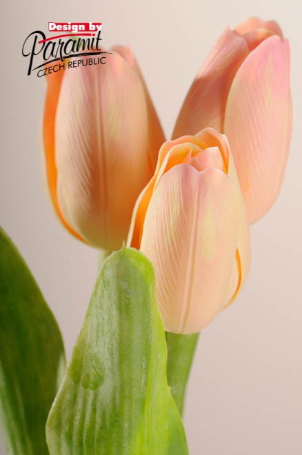 Tulipan kvet 40 cm 107 A1 svetlo broskyňová