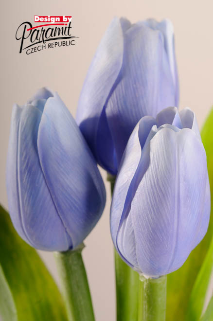 Tulipan kvet 40 cm 107 B1 svetlo modrá