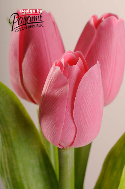 Tulipan kvet 40 cm 107 P1 svetlo ružová