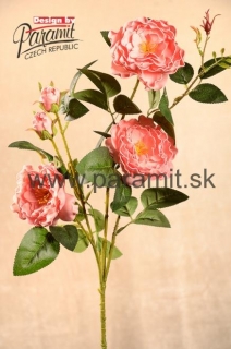 Ruža záhr.ruž..85cm 3-45P
