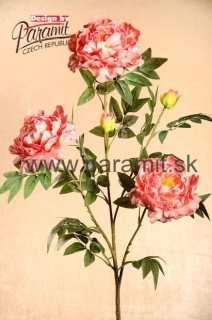 Pivonka ruž.100cm 3-46P