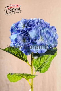 Hortenenzia modra 82cm F105B