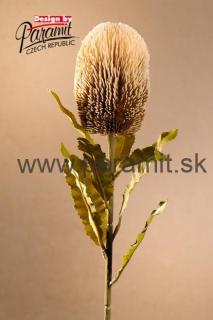 Banksia 65cm cream F251-C