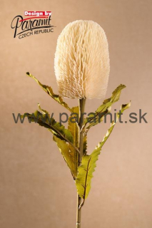 Banksia 65cm biel. F251-W