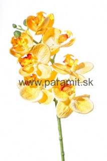Orchidea 50cm F16-Y