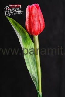 Tulipan kvet 40 cm 107 R2 sýto červená