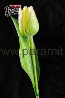 Tulipan kvet 40 cm 107 G1 sv. zelená
